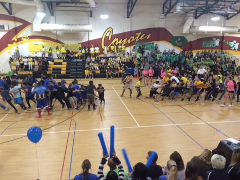 Color Rally