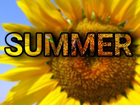 Summer Stories