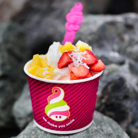 Menchie’s Review