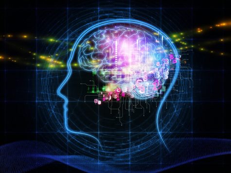 The Power Of The Brain