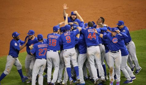 Cubs Win!