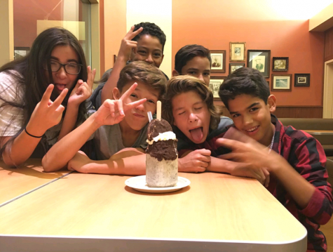 Mug Shakes Review