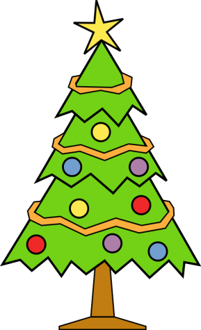 Real Or Fake Christmas Trees?