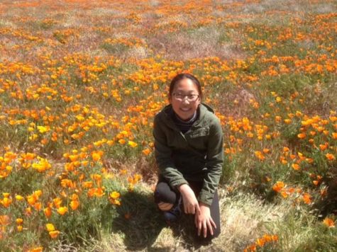 Antelope Valley Poppy Reserve