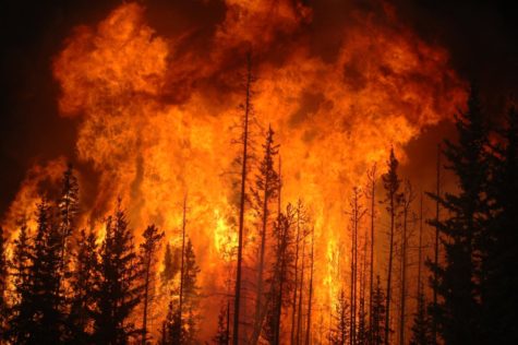 Only the Brave Movie Review
