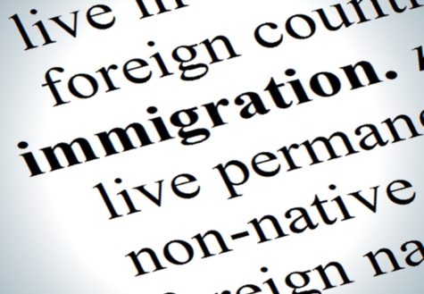 Illegal Immigration