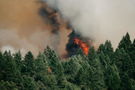 California Wildfire: Death Toll Rises, Several Missing