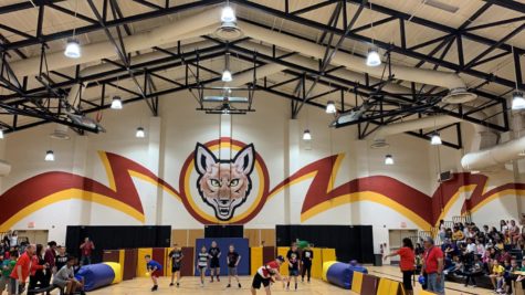 6th Grade Survivor Ball Tournament