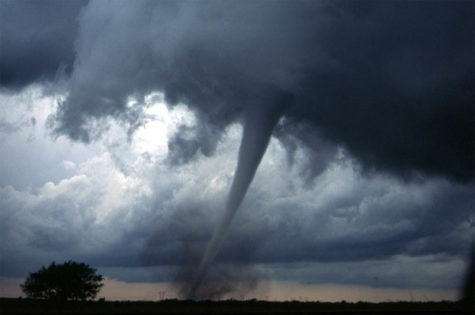 Severe Storms and Tornadoes Kills 8 in Southeastern U.S.
