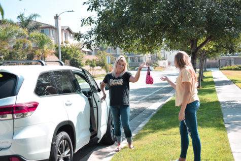 Unemployed Mothers or Working Moms?