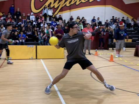 Survivor Ball Tournament 2019