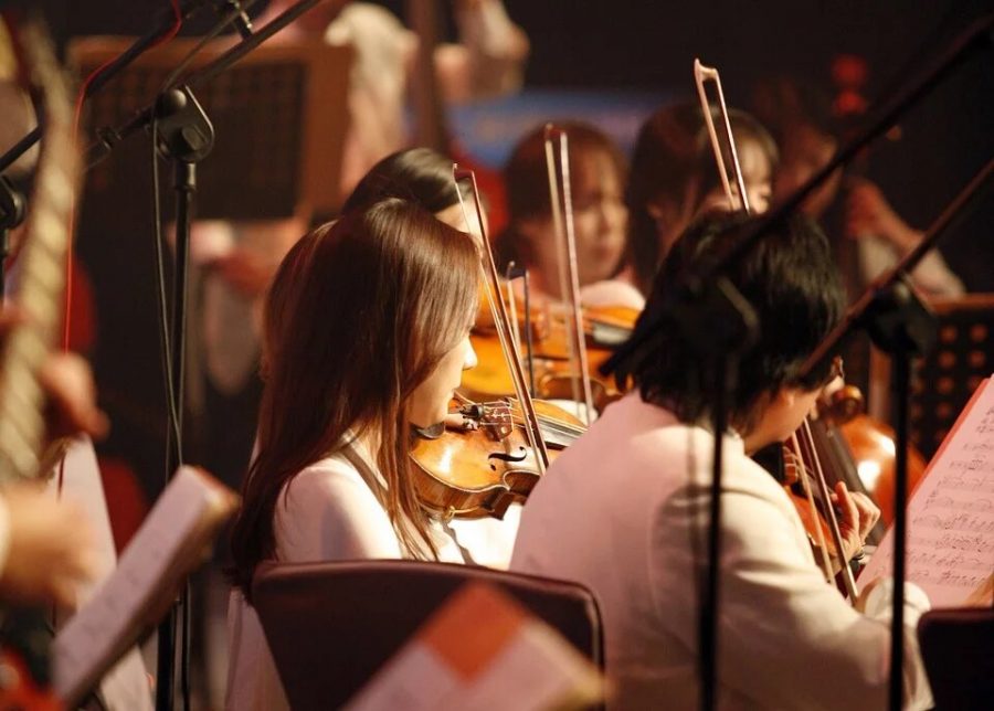 Should DCIS have an orchestra or a band?