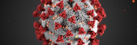 Is the Coronavirus going to get worse?