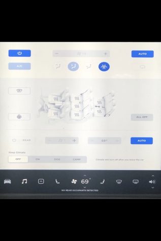 Tesla’s Coronavirus Defense