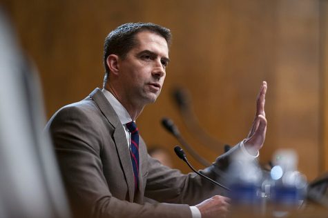 Tom Cotton believes that TikTok is a risk to the users.