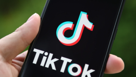 Although TikTok can be fun, there are cautions that should be taken to avoid risks.