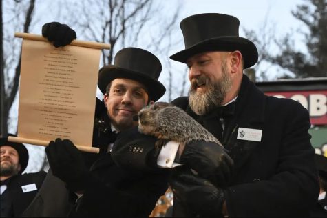 National Groundhog Day for the year of 2023 officially predicted that there will be six more weeks of winter.