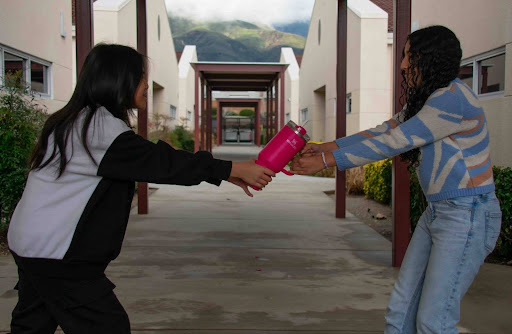 Two students fighting over a pink “Flowstate Quencher Tumbler” Stanley cup.