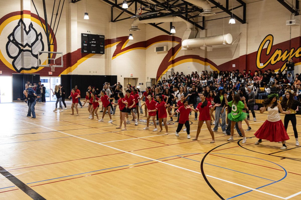 The dance team and leadership students perform in front of the audience.