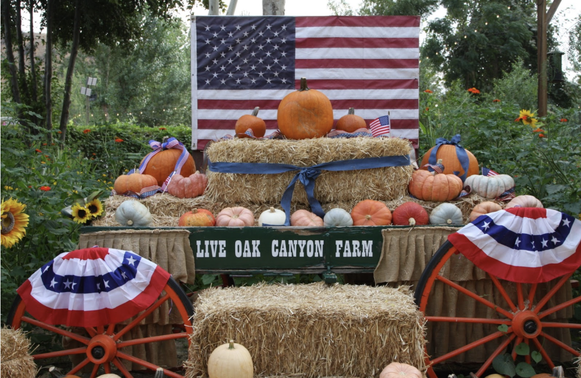 Pumpkins and patriotic spirit make a great backdrop for photos.