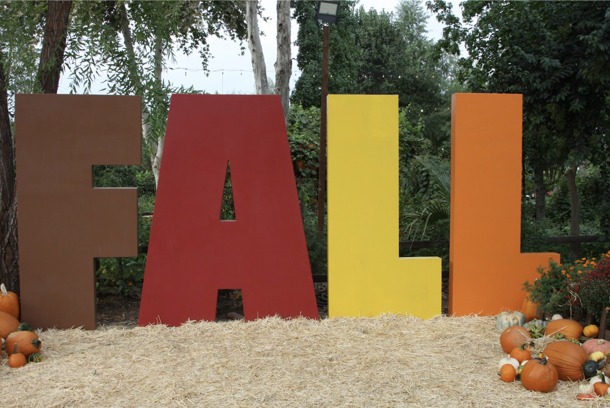 Pretty displays placed around the patch allow people to love the farm.
