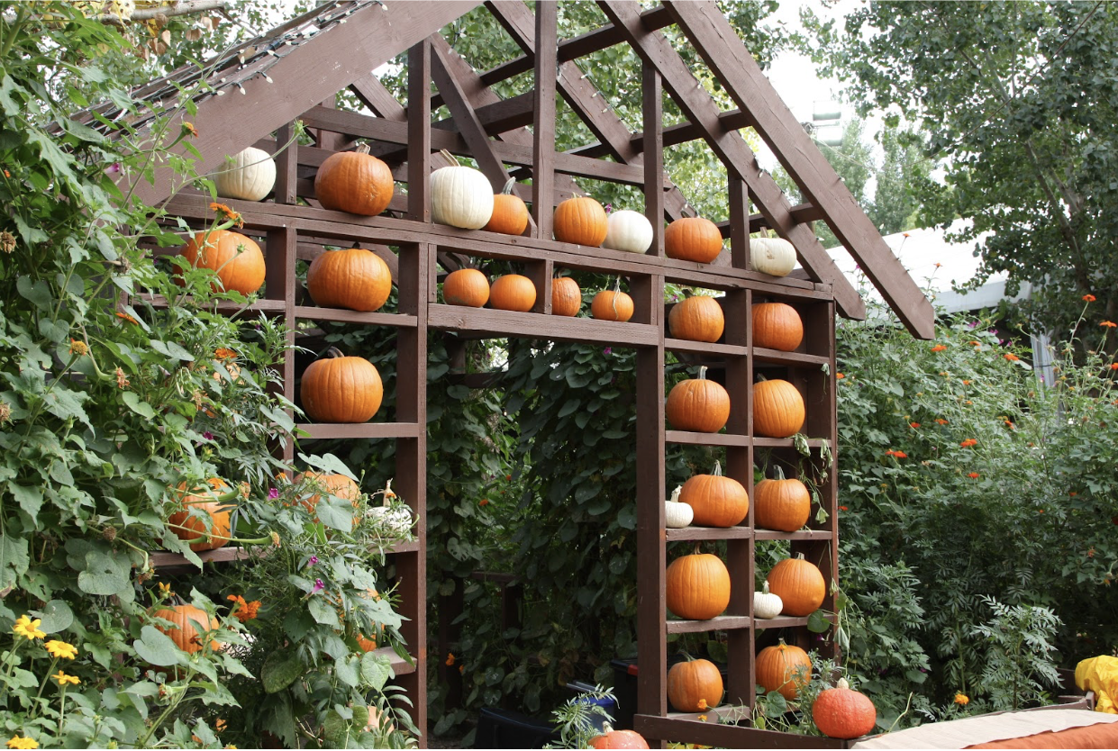 This pumpkin house is one of the many unique sights that make the farm worth-while.