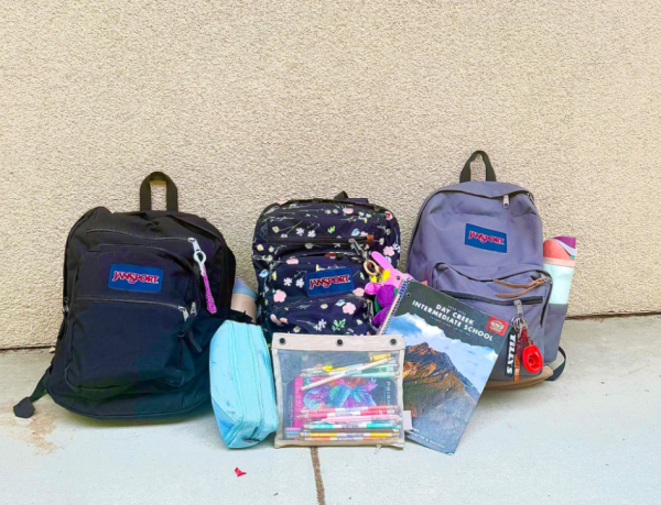 Backpacks like these are used every day.